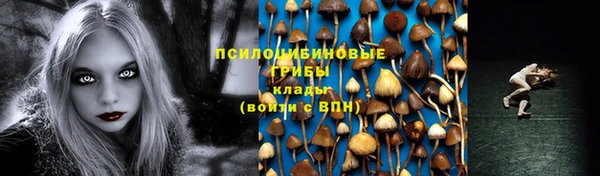 ешки Баксан