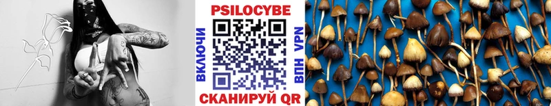 Псилоцибиновые грибы GOLDEN TEACHER Великие Луки