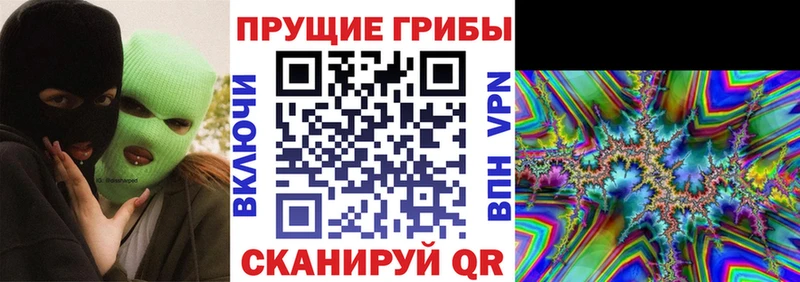 Купить где  Великие Луки  Псилоцибиновые грибы Magic Shrooms 